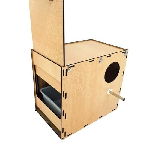 Professional Sultan Parrot Homing In bamboo