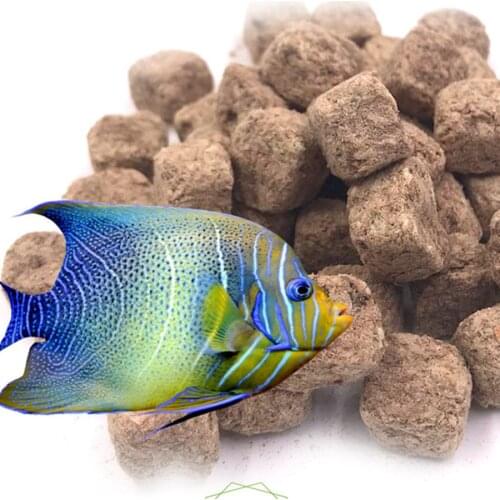 Freeze Dried Brine Shrimp/Artemia Cube Fish Food Aquarium Tropical Fish Feed