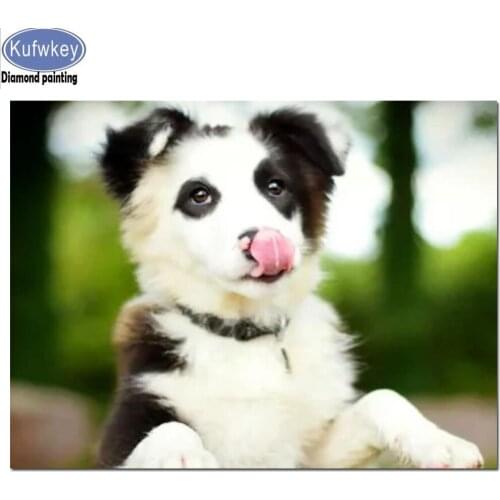 NEW Border collie Diamond Painting Cross Stitch Diamond mosaic full square round resin diamond Embroidery dog cute pet animal