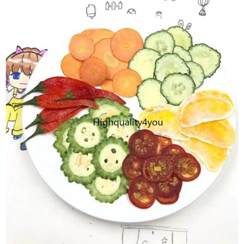 60pcs Dried Pressed Mixed Exopy Vegetable Slices Plant Herbarium For Jewelry Photo Frame Phone Case Postcard DIY Making