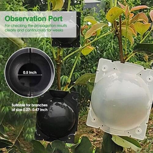 Plant Root Growth Box High Pressure Plant Air Layered Pod Propagation Ball Plant Grafting Box 3 Black 3 Transparent