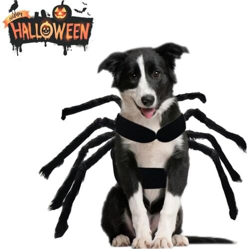 Halloween Spider Clothes For Pet Dog Cat Spider Costumes Dressing Up Pet Clothes Party Pet Halloween Props Accessories