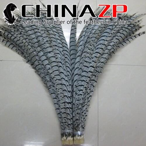 Made in CHINAZP Factory 10pcs/lot Size 36 to 40inch Best Quality Natural Zebra Lady Amherst Pheasant Tail Feathers