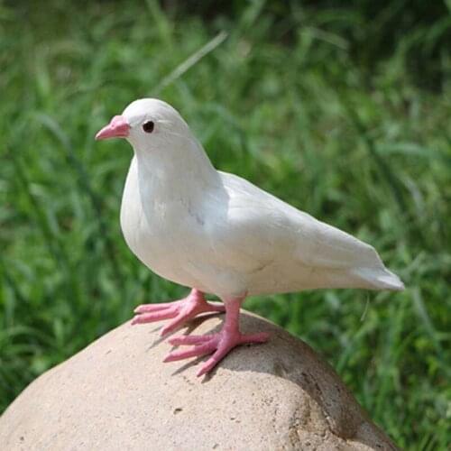 21*19*12CM Decoration Pigeon Real Feather Birds In White,Gray,Decorative Artificial Bird For Birthday Party Supplies,Halloween