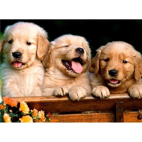 5D Icon Diamond Embroidery Golden Dog DIY Diamond Painting Cross Stitch Square Mosaic Rhinestones Home Decorative Painting FZ501