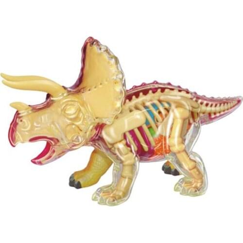 Authentic 4D Master Anatomy Assembled Model Q Edition Triceratops Simulation Animal Educational Toy