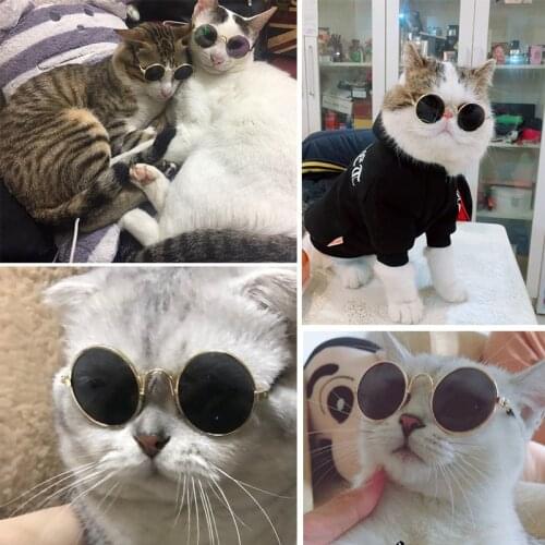 Cat Dog Sunglasses Teddy Funny Headwear Pet Accessories Cat Glasses