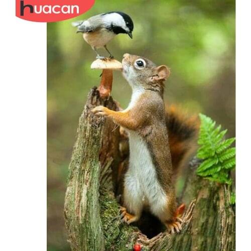 HUACAN Full Square Drill Diamond Painting 5d Squirrel DIY Diamond Embroidery Cross Stitch Animal Mosaic Forest Home Decor