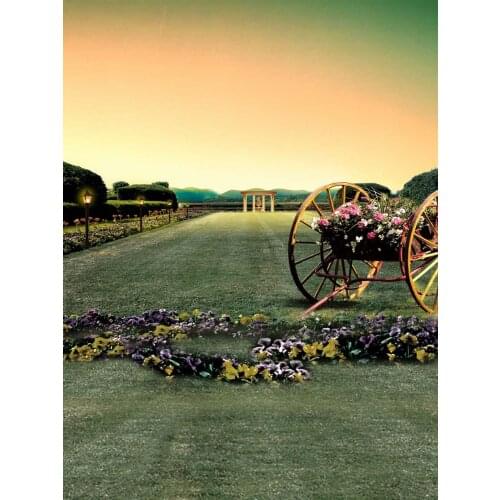 Life Magic Box photographic background Two-wheeler estudio fotografico portatil baby backdrop S-1828