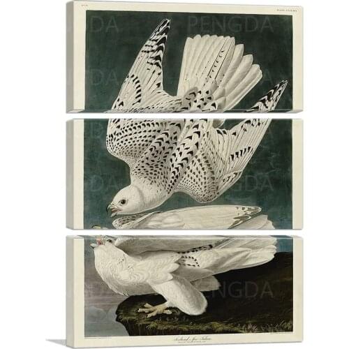 White Gyrfalcons Canvas Paintings Modern HD Printed Animal Posters Modular Bird Pictures Home Decorative Room Wall Art Framework