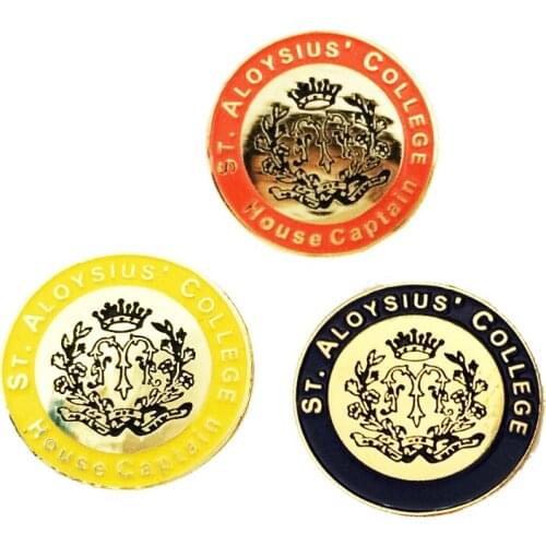 Customized Shape and Logo Gold Plating with Butterfly Clutch in Soft Enamel Sport Lapel Pin