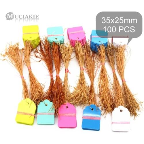 100PCS 35x25MM Plastic PVC Garden Markers Plants Tags with Rope Ties Line Seedlings Hanging Labels Rose Geranium Sign