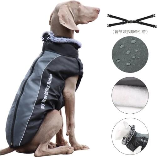 Large pet dog coat with straps winter warm dog clothes Labrador waterproof large dog reflective coat French bulldog clothing
