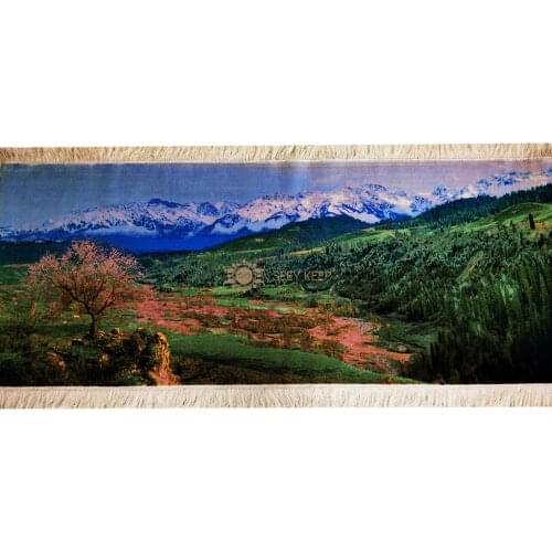 Seeykeep™ 9x3.4ft Rectangle Silk & Woolen Handknotted Oriental Traditional China Landscapes Carpet-SW3026001