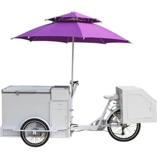 2021 Trends Front Load Ice Cream Electric Tricycle Cargo Bike With High Quality Freezer for Sale Wholesale Price