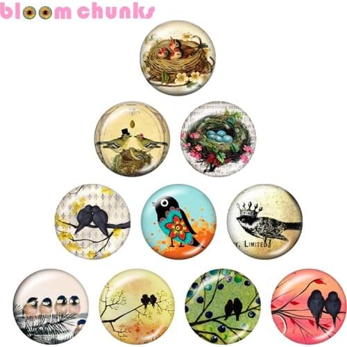 Animal bird love 10pcs mixed 12mm/18mm/20mm/25mm Round photo glass cabochon demo flat back Making findings S4996