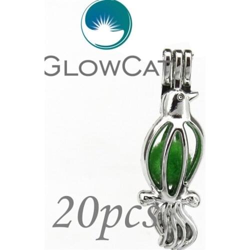 20x KK585 Parrot Dove Birds Beads Cage Essential Oil Diffuser Pearl Cage Jewelry Making Locket Pendant For Oyster Pearl