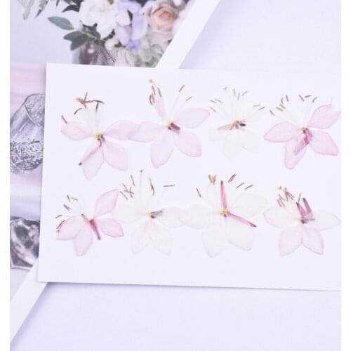 2-4cm/16PCS,Pressed Dried Pansy flowers,Nature Real Flower Petals DIY Candles Craft Bookmark Gift Card,Flores secas Facial Decor