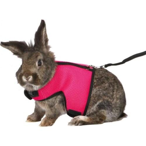 Small Pet Rabbit Clothes Traction Rope Squirrel Hamster Guinea Pig Snow Leopard Guinea Pig Vest Chest Harness Squirrel Rope