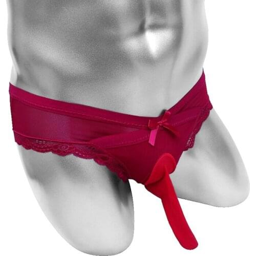 See Through Sissy Lingerie Panties Penis Sheath Pouch Sexy Mens Briefs Underwear Low Rise Thin Sheer Lace Mesh Male Bikini