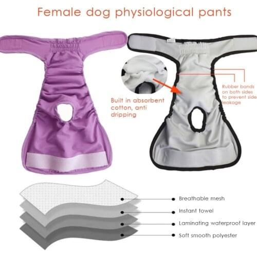 Female Cat Dog Diapers Washable Soft Comfortable Diapers Shorts Prevent Pet Incontinence Dog Panties Puppy Care Pet Supplies