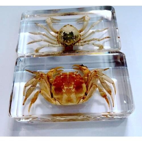 FREE SHIPPING 2 Pcs Newest Design Mixed Crab Rare Vogue Jewelry