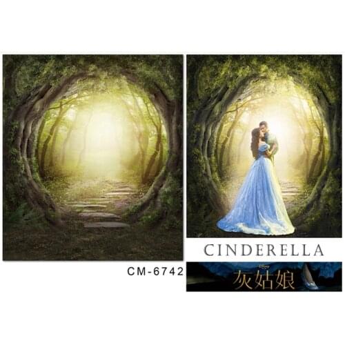 TR 8X8FT Vinyl Photography Backdrops Fairy Tale Forest Photo Background For Photo Studio Wedding Lover Photo Backdrops Customize