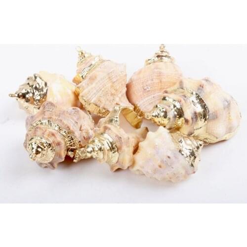 Gold plating Aquarium Beach Nautical DIY Natural Seashells Party Decoration Scallop Shells Crafts Decor Ornament 5Pcs KL274