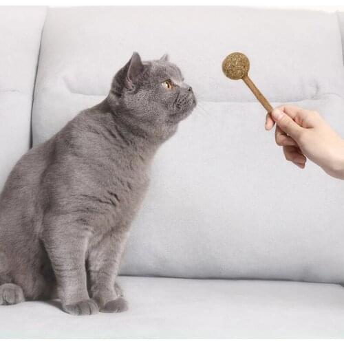 Pet Products Cat Toys Natural Catnip Lollipop Shape Pet Molar Teeth Cat Toy Ball Tooth Cleaning Supplies