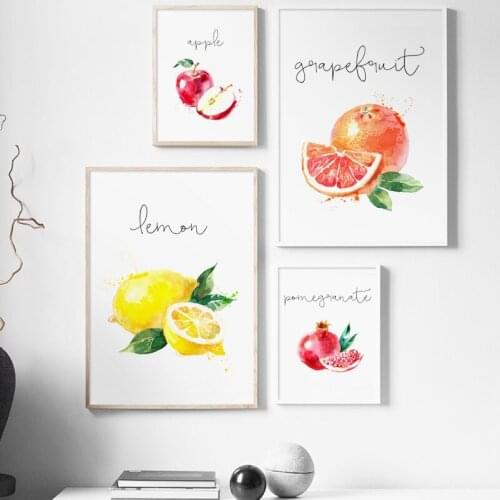 Nordic Style Fruit Painting Wall Art Watercolour Pomegranate Mango Raspberry Pictures Canvas Poster Modern Home Decoration