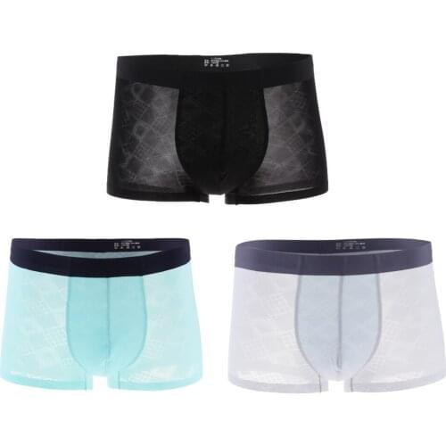 Mens Sexy Translucent Pouch Briefs Underwear Bulge Pouch Panties