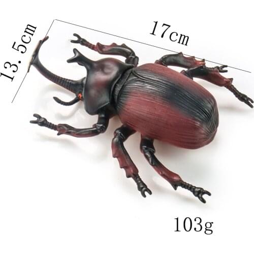 A Variety of Simulation Insects and Animals Display Childrens Toy Sand Table Scene Science and Education Cognitive Animal Model