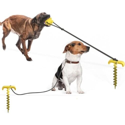 1Pcs Pet Chew Toy Outdoor Tie Dog Ground Pile Ground Nail Tie Dog Leash Dog Walking Toy Green Dog Pegs Leashes Dog Toys 1