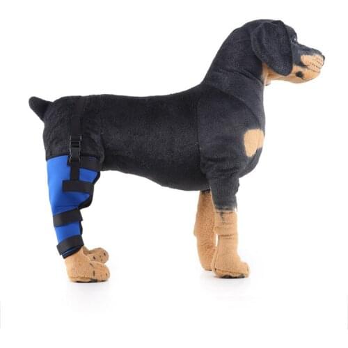 Dog Hind Back Rear Leg Belt Support Brace Elbow Knee Protector
