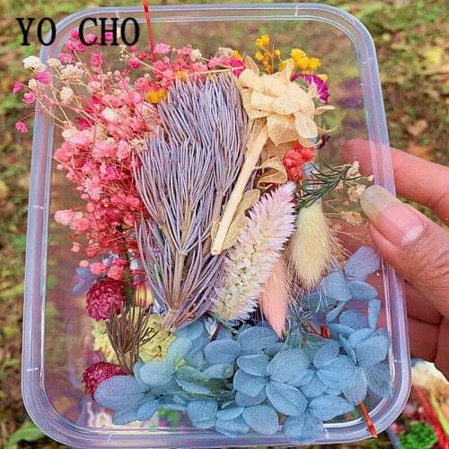 YO CHO 1 Box Mix Real Dried Flowers Natural Floral for Art Craft Scrapbooking Resin Jewelry Craft Making Epoxy Mold Filling