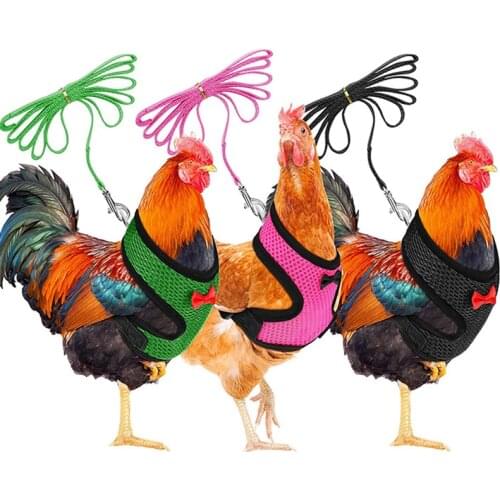Pet Mesh Soft Harness With Leash Small Animal Vest Lead For Chicken Adjustable Rope With Leash And Matching Belt Hen Pet Vest