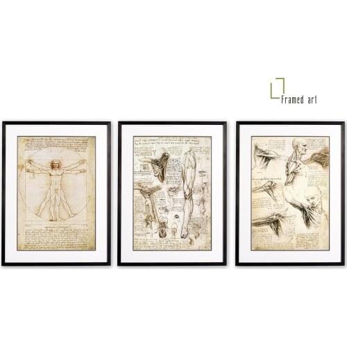 Framed art Da Vinci anatomy study vitruvian shoulder and leg picture frame with matboard