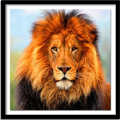 5D Diy diamond painting cross stitch s Full 100% cover embroidery animal lion diamond embroidery home decor