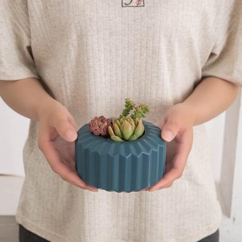 Succulent Flower Pot Plastic Thickening Creative Simple Large Diameter Pot Indoor Simple Fleshy Personality Plant Flower Pot