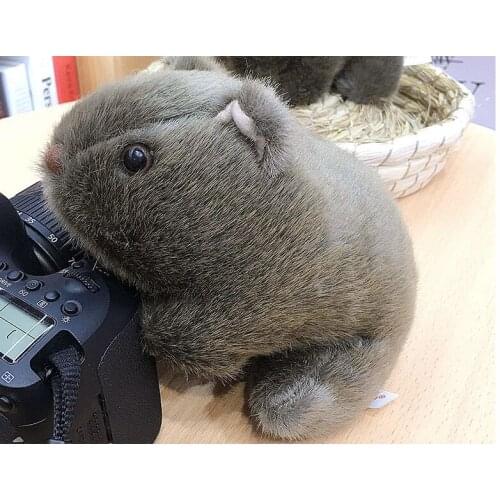 New toy Domesticated Guinea Pig plush toy soft doll baby toy Christmas gift b1720