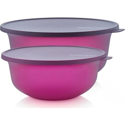 Tupperware Aloha Storage Container Set of 2 2x4 Lt