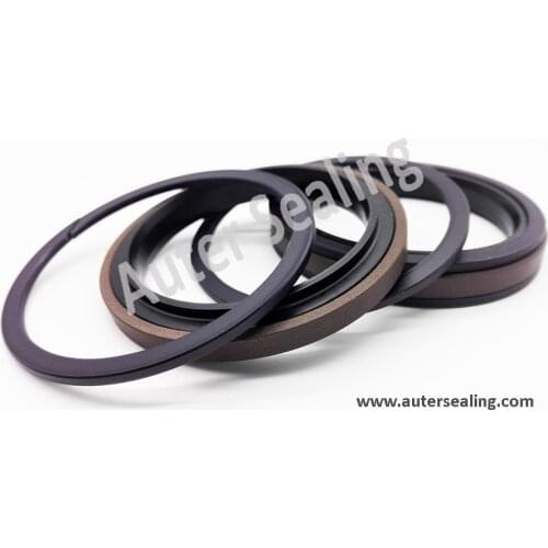 SPGW 90 / 100 / 110 Piston PTFE compact seal hydraulic cylinder parts PTFE BRONZE / NBR / POM PDH rubber ring