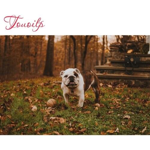 5D spuare & round Scenic bulldog diamond painting cross stitch dog diamond embroidery set needlework Husky diamond painting