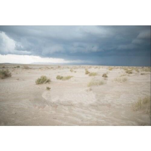 Desert sand storm dunes party backdrops High quality Computer print children kids photo studio background