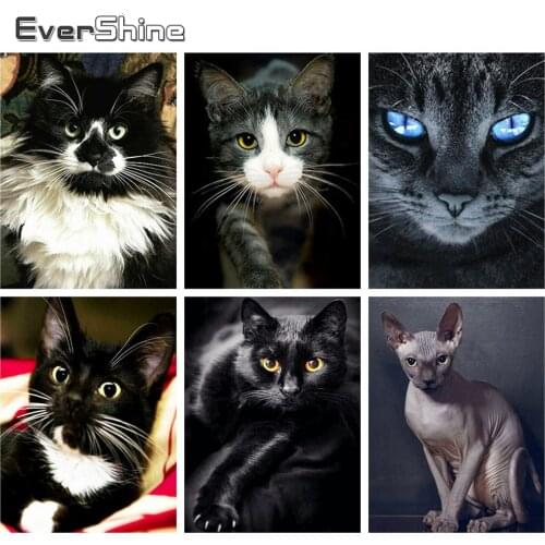 Evershine Full Square/Round Drill 5D DIY Diamond Painting Cat Embroidery Cross Stitch Animals Diamond Art Home Decoration