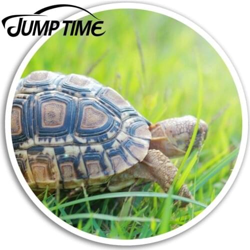 Jump Time Cute Tortoise Vinyl Stickers Turtle Pet Sticker Laptop Luggage Car Assessoires Window Decals Car Wrap DIY