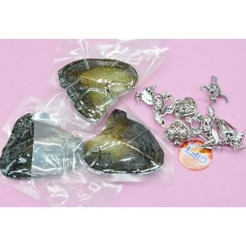 6PCS / LOT 6-7MM vacuum packaging, hope pearl oyster (100% natural oyster)