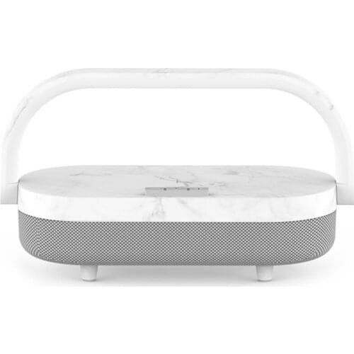 iTECHOR Audio Speakers