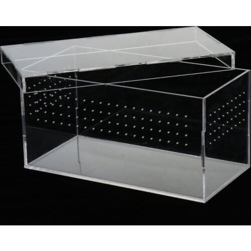 Reptile & Amphibian Terrarium Box For Snakes Lizards Turtles Spiders