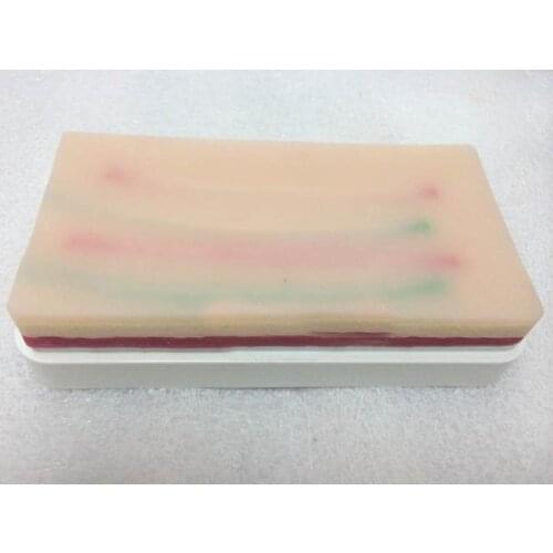Skin anatomical model surgical sutured training module simulation training model human Venipuncture skin model